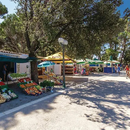 Beautiful In With Wifi